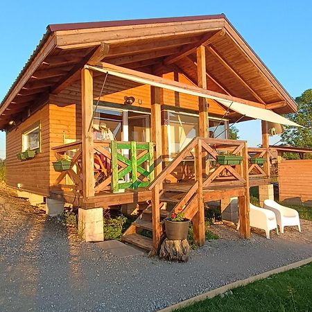 Casuta Schiorului 2, Marisel Apuseni Villa Buitenkant foto