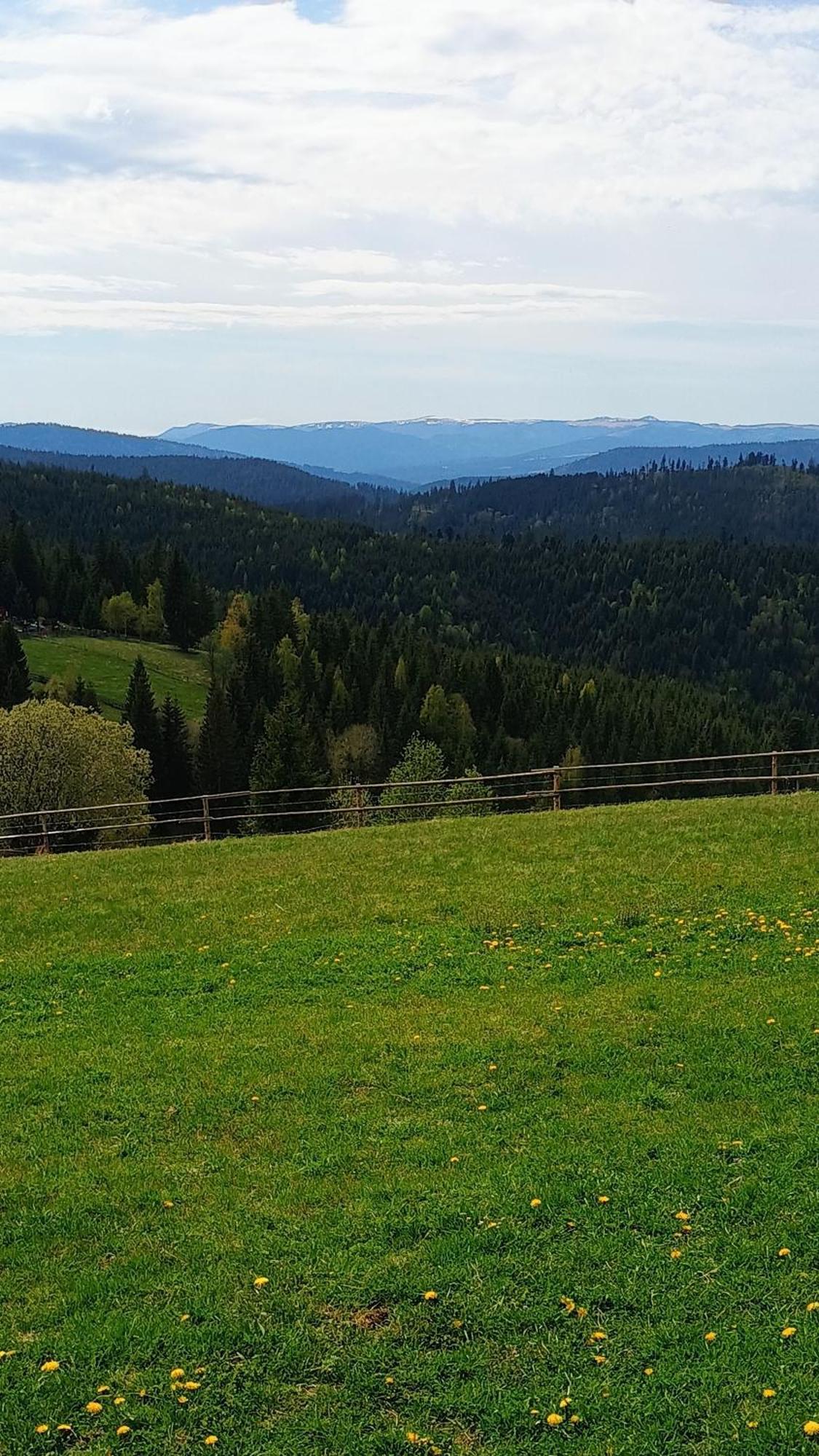 Casuta Schiorului 2, Marisel Apuseni Villa Buitenkant foto